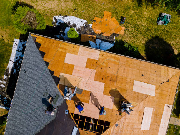 Trusted Jackson, GA Roofing Contractor Experts